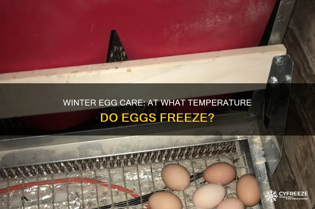 what temperature do eggs freeze in the winter