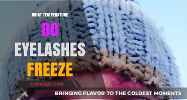 At What Temperature Do Eyelashes Freeze? Surprising Facts Revealed