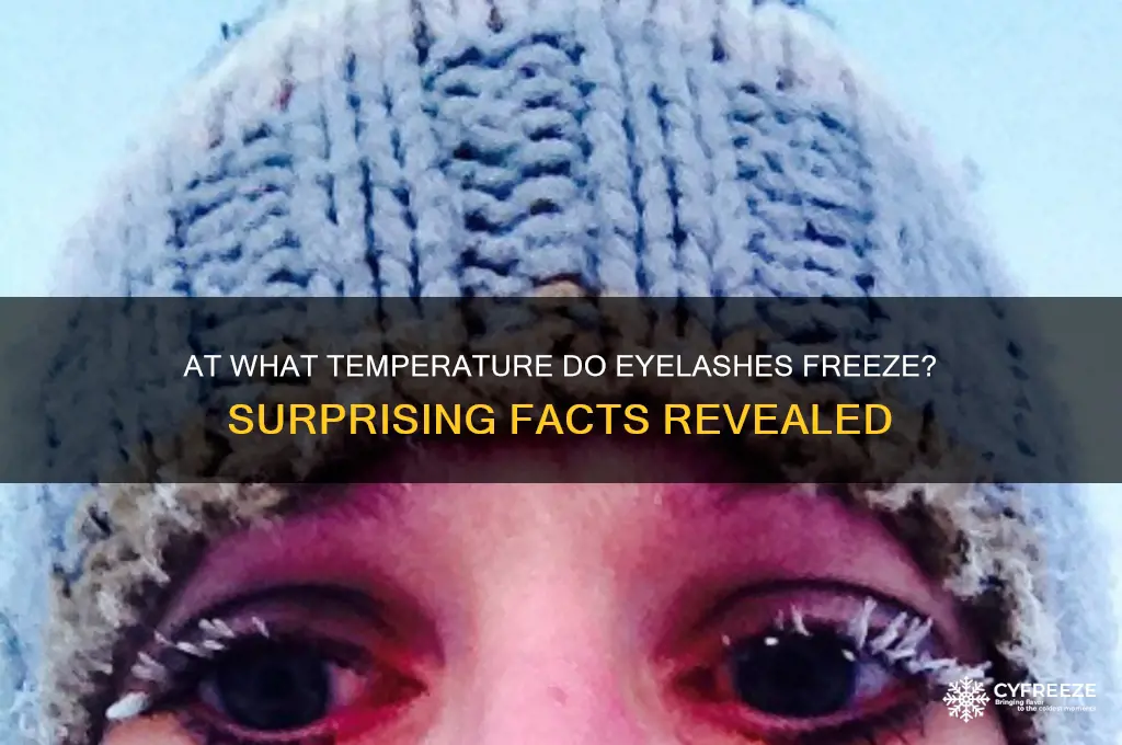 what temperature do eyelashes freeze