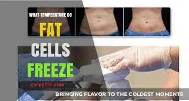 Freezing Fat Cells: Understanding the Optimal Temperature for Cryolipolysis