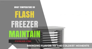 Optimal Flash Freezer Temperatures: Preserving Food Quality and Safety