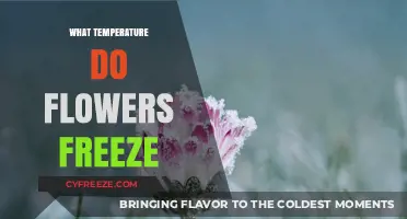 Chilling Truth: At What Temperature Do Flowers Freeze and Die?