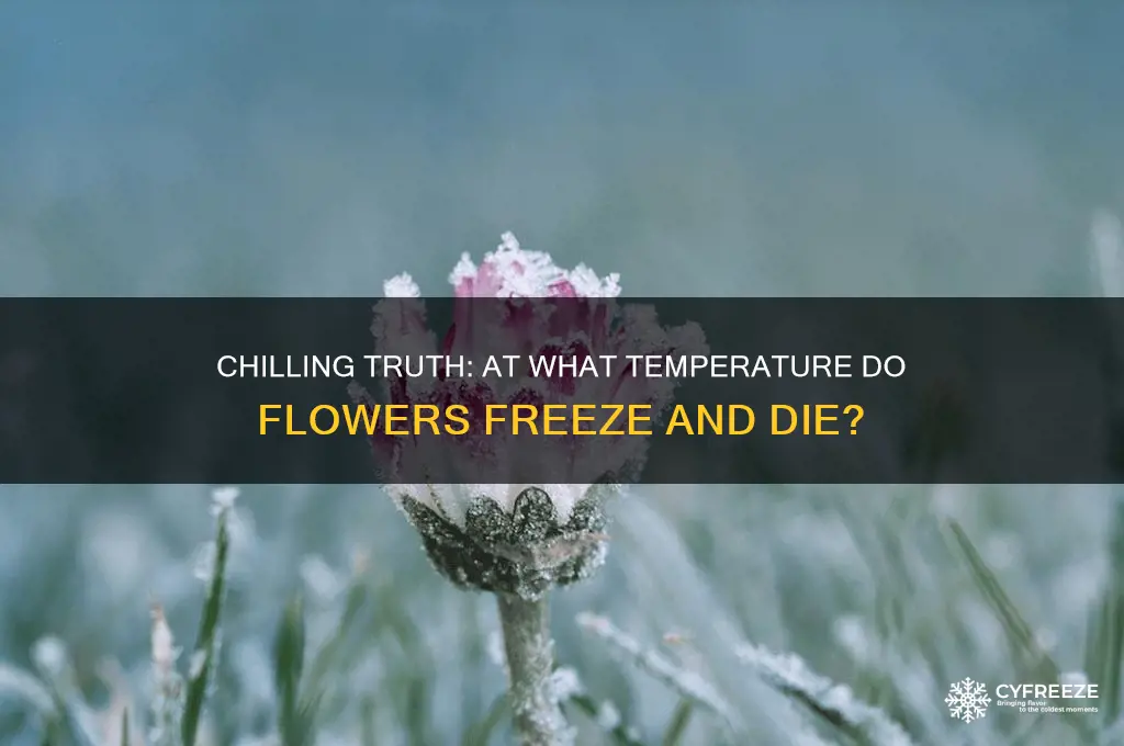 what temperature do flowers freeze