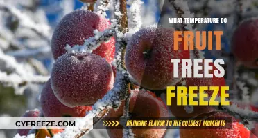 Critical Freeze Temperatures for Fruit Trees: Protecting Your Orchard