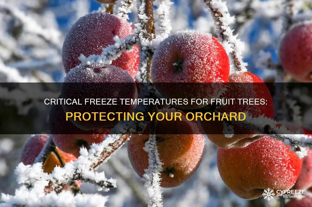 what temperature do fruit trees freeze