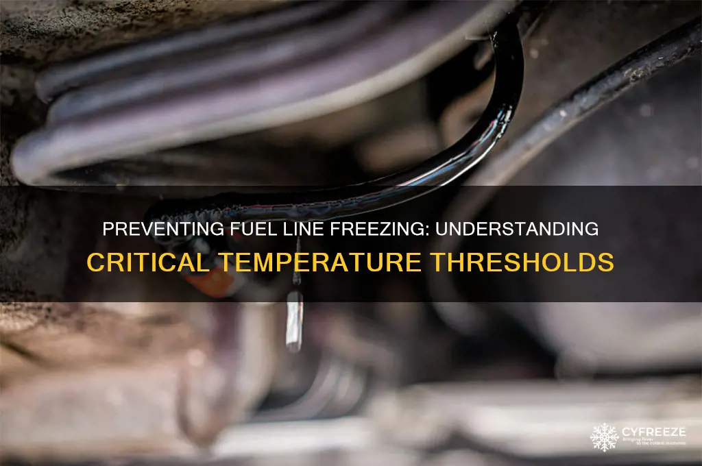 what temperature do fuel lines freeze