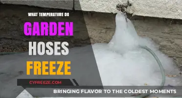 Preventing Winter Damage: When Do Garden Hoses Freeze and How to Protect Them?
