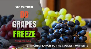 When Do Grapes Freeze? Understanding the Critical Temperature Threshold