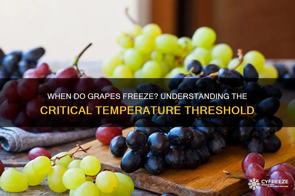 what temperature do grapes freeze