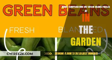Freezing Green Beans: Garden Temperature Guide for Optimal Preservation