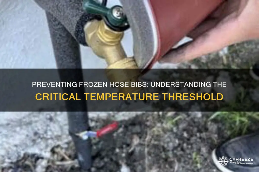 what temperature do hose bibs freeze