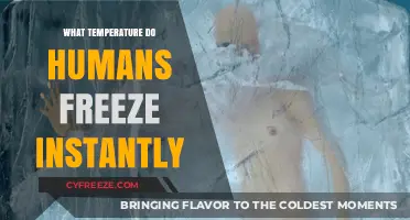 Instant Human Freezing: Understanding the Critical Temperature Threshold
