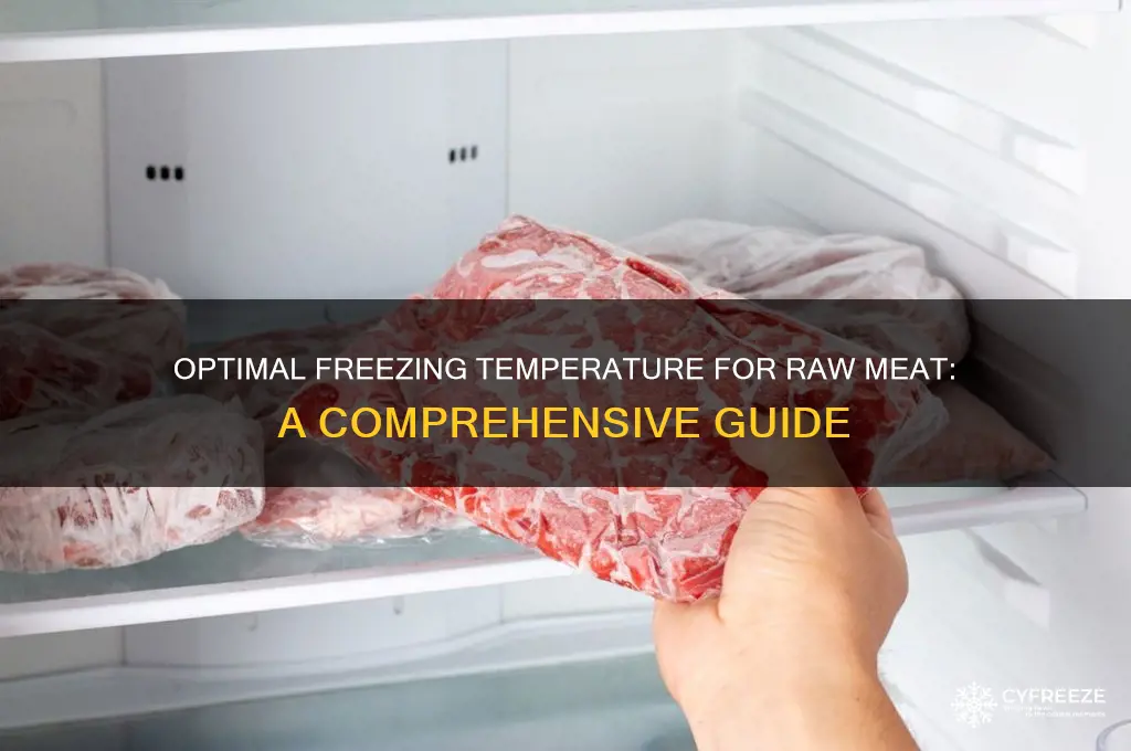 what temperature do i freeze raw meat at