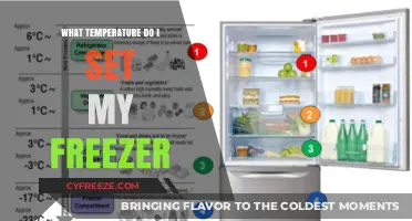 Optimal Freezer Temperature: A Guide to Food Safety and Efficiency