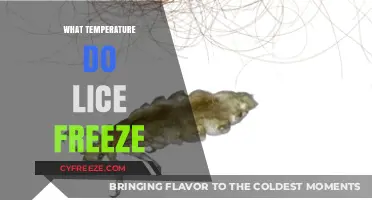 Freezing Lice: Discover the Temperature That Kills These Pests