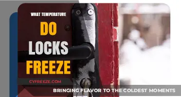 Preventing Frozen Locks: Understanding the Temperature Threshold for Lock Freezing