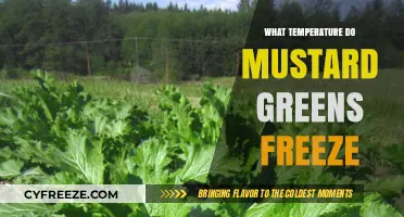 When Do Mustard Greens Freeze? Optimal Temperature Guide for Preservation