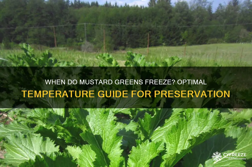 what temperature do mustard greens freeze