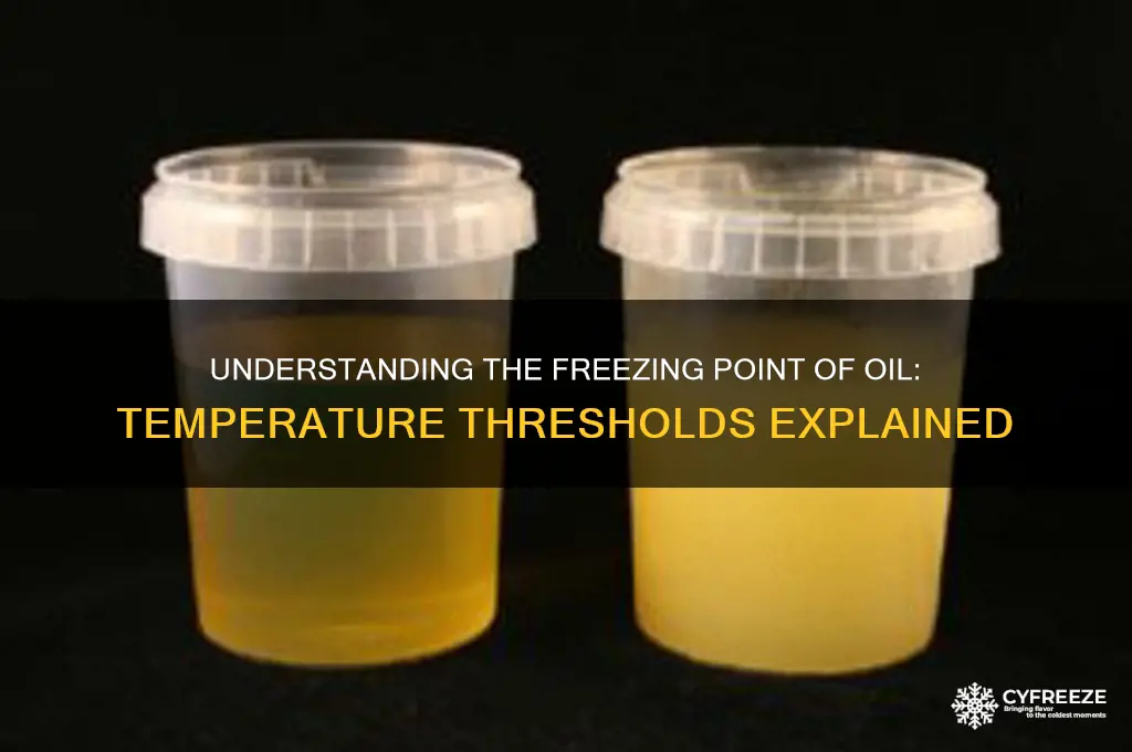 what temperature do oil freeze