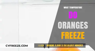 At What Temperature Do Oranges Freeze and Why It Matters
