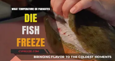 Freezing Fish to Kill Parasites: Optimal Temperature Guide for Safety