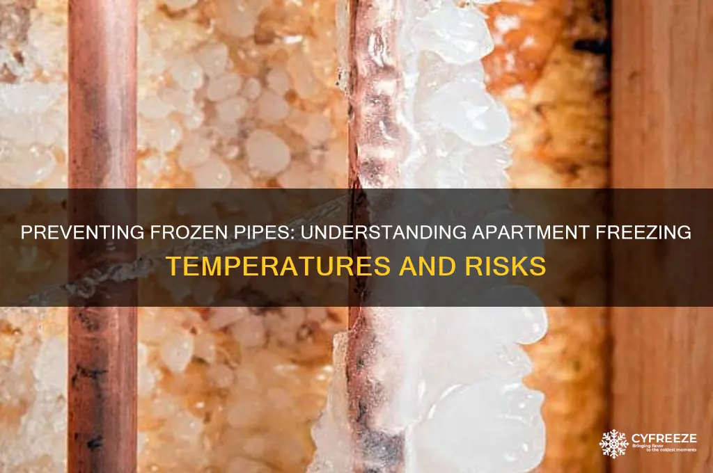 what temperature do pipes freeze in an apartment