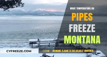 Montana Winter Pipe Protection: Freezing Temperatures and Prevention Tips