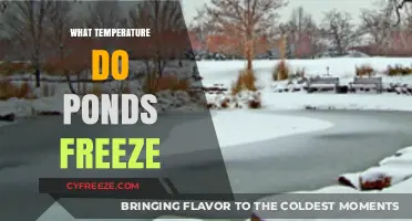When Do Ponds Freeze? Understanding Winter Pond Temperature Thresholds