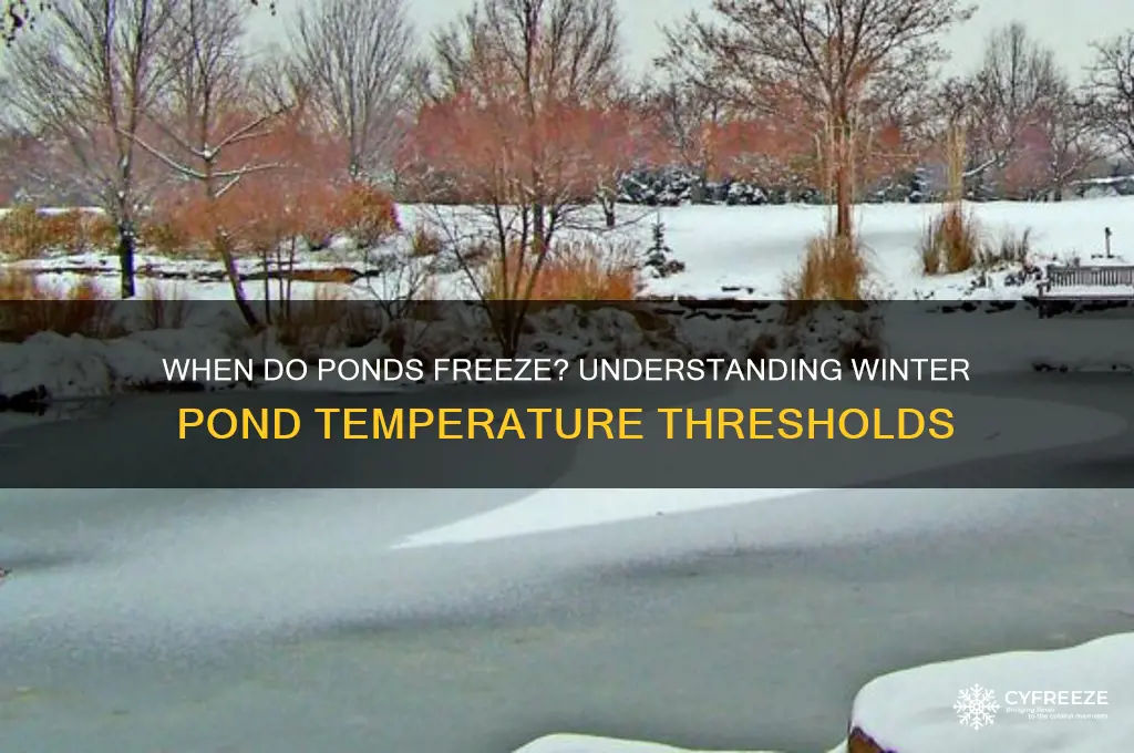what temperature do ponds freeze