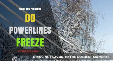 When Do Powerlines Freeze? Understanding Winter's Impact on Electrical Grids