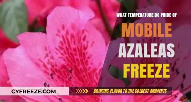 Protecting Pride of Mobile Azaleas: Freezing Temperatures and Survival Tips