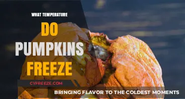 When Do Pumpkins Freeze? Understanding Their Cold Tolerance Threshold