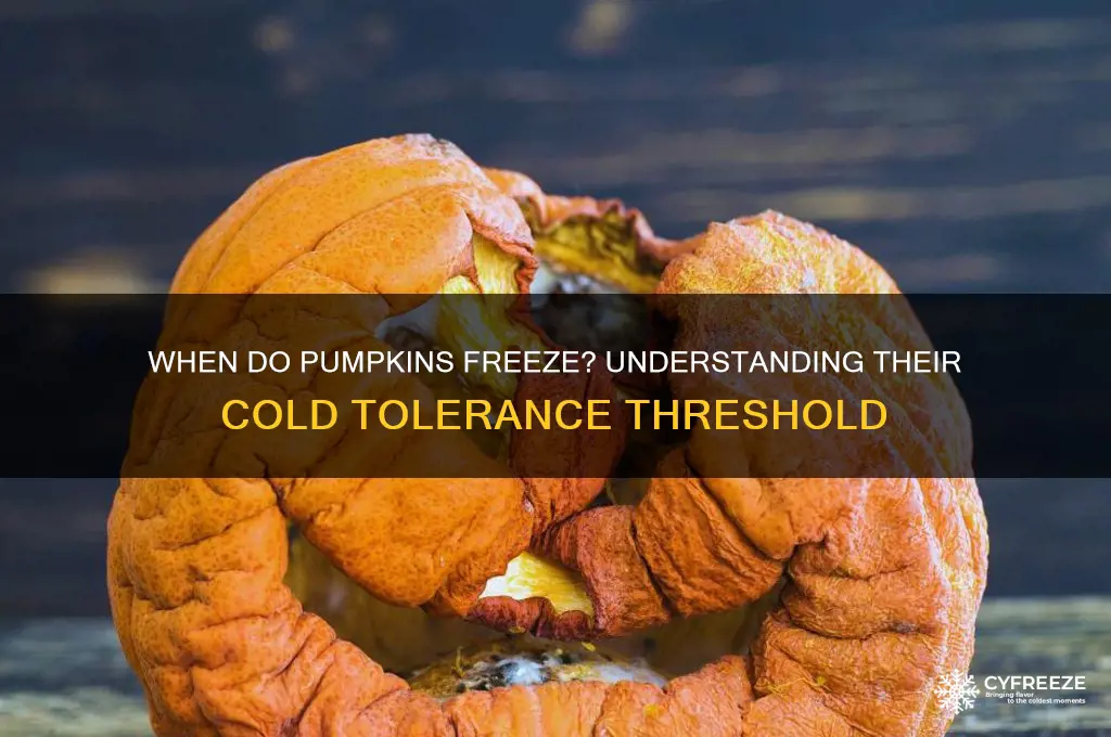 what temperature do pumpkins freeze