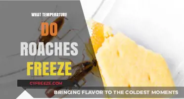 Chilling Truth: At What Temperature Do Roaches Freeze to Death?