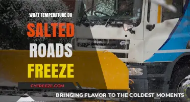 Salted Roads Freezing Point: Understanding Winter Road Safety