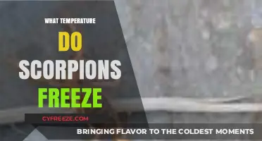 Scorpions and Freezing Temperatures: Survival Limits Explained