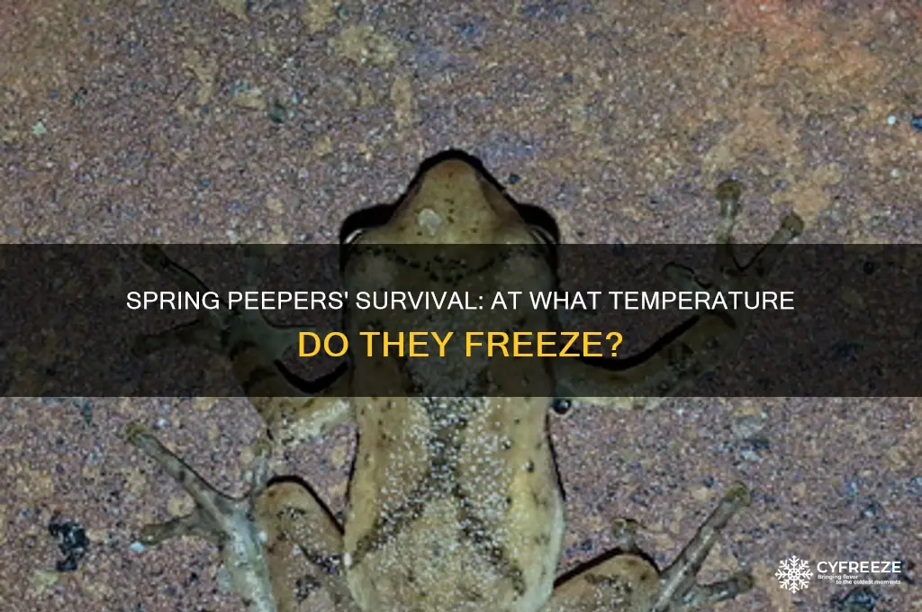 what temperature do spring peepers freeze