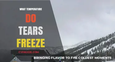 At What Temperature Do Tears Freeze? Exploring the Science Behind It