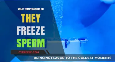 Optimal Sperm Freezing Temperature: Preserving Fertility for the Future
