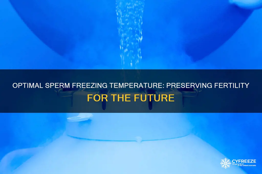 what temperature do they freeze sperm