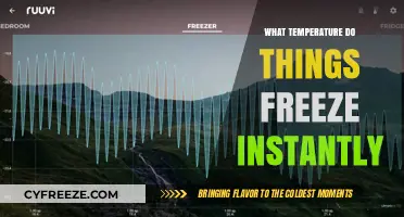 Instant Freeze: Unveiling the Temperature for Immediate Solidification