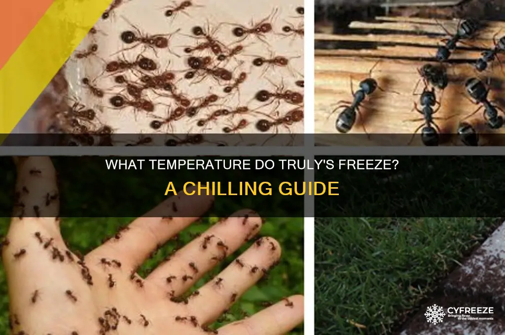 what temperature do truly