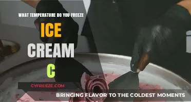 Perfect Ice Cream Freezing: Ideal Temperature for Creamy Delights