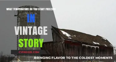 Vintage Story Freezing Guide: When Does the Chill Begin?
