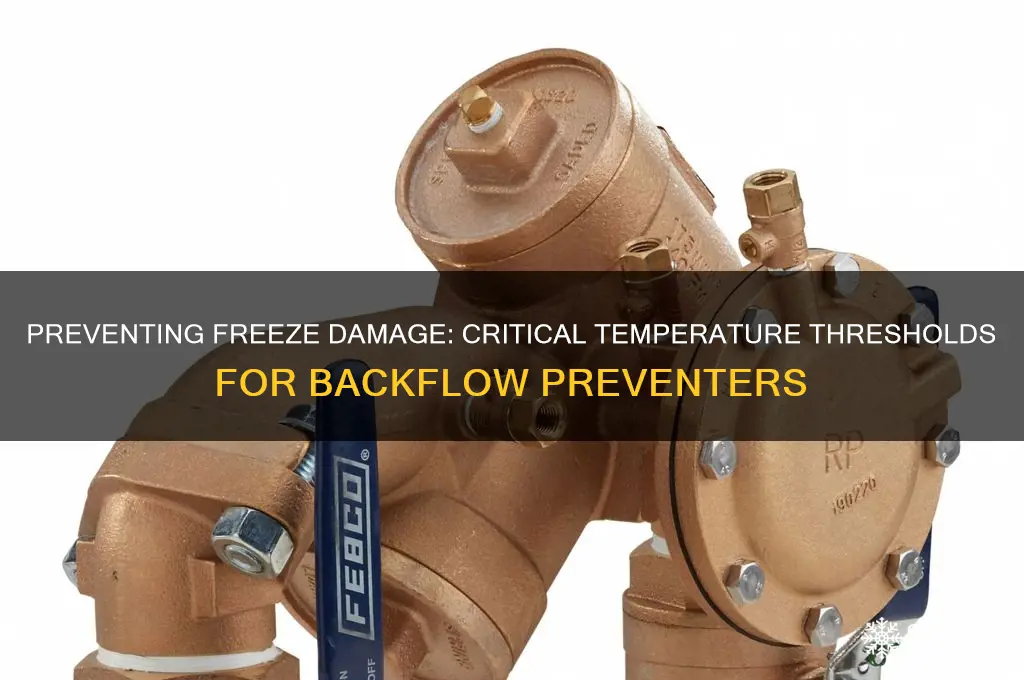 what temperature does a backflow preventer freeze