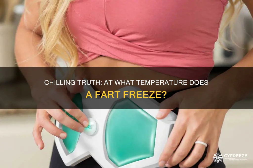 what temperature does a fart freeze
