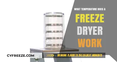 Optimal Freeze Dryer Temperatures: Preserving Food with Precision and Efficiency