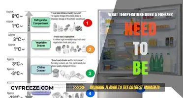 Optimal Freezer Temperature: Essential Guide for Food Safety and Efficiency