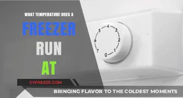 Optimal Freezer Temperature: How Cold Should Your Freezer Run?