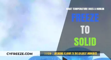 Human Freezing Point: When Does the Body Turn to Ice?